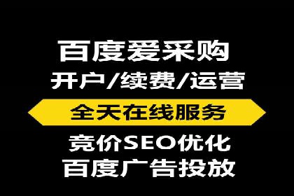 案例剖析：关键词竞价排名成功之道